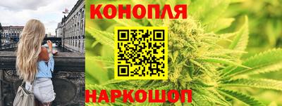 PSILOCYBIN Нальчик