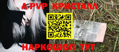 PSILOCYBIN Нальчик
