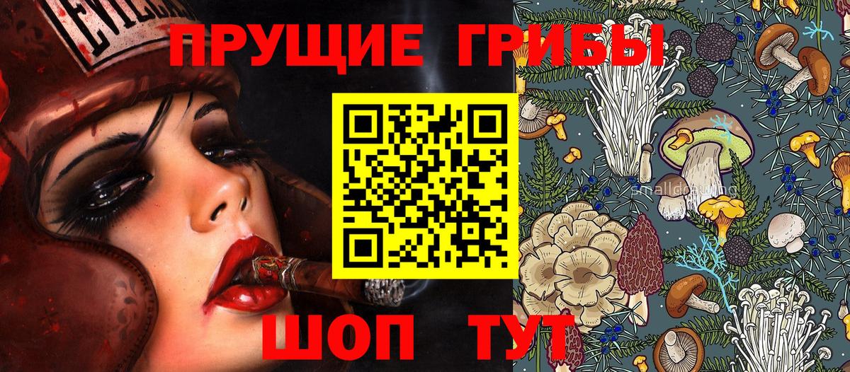 Галлюциногенные грибы GOLDEN TEACHER  Вход с VPN  Псилоцибиновые грибы GOLDEN TEACHER  Тамбов 