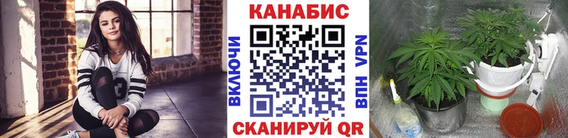 Бошки марихуана тримм  Тамбов 
